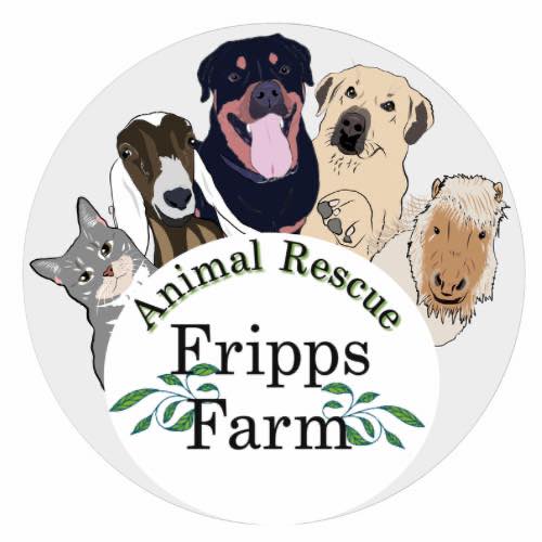 Brighton Rock Workshop donates a portion of all profits to Fripps Farm Animal Rescue in the United Kingdom. Read our ethos page to find out more about this amazing small charity.